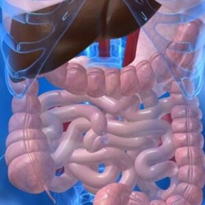 Doenças do Aparelho Digestivo