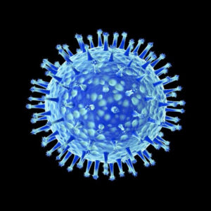 Os Vírus e as suas Características