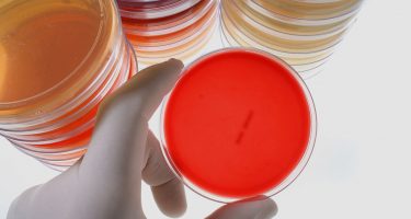 procedimentos em microbiologia clínica